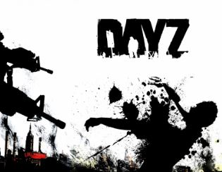 dayz all in one server 