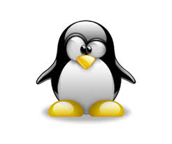 vps linux