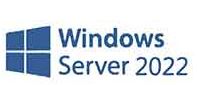 vps windows serve 2022